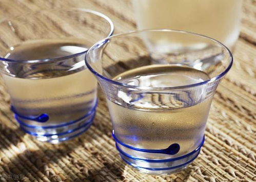 真假酒的解毒迷思 科学解析与医生的忠告